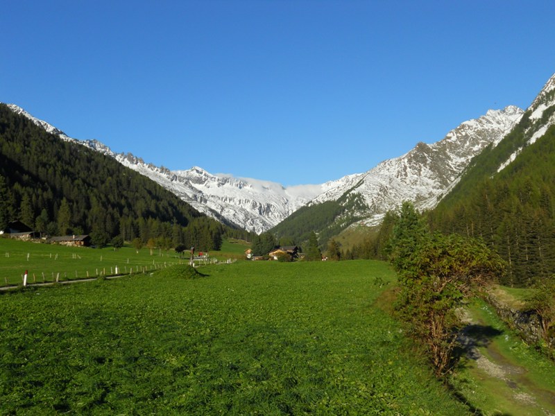 Selva dei Molini (Brunico)